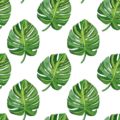 carl philip design
